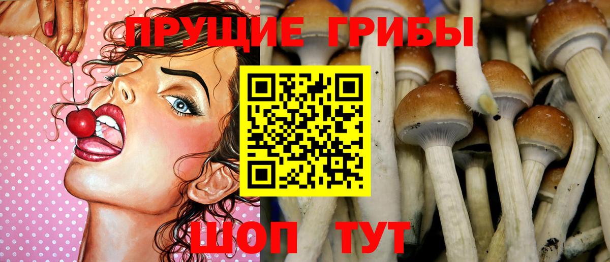 Псилоцибиновые грибы Cubensis  Вход с VPN  Тимашёвск  Псилоцибиновые грибы Magic Shrooms 
